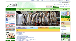 Desktop Screenshot of city.ohtawara.tochigi.jp